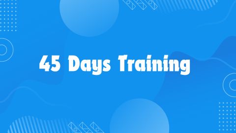 Best 45 days Training in Phagwara