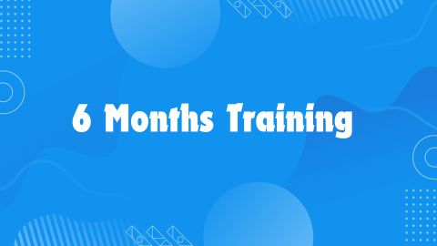 Best 6 Months Training in Phagwara